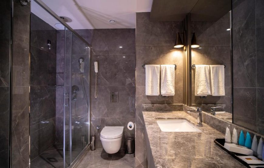 هتل آرتز تکسیم استانبول / ARTS TAKSIM HOTEL ISTANBUL