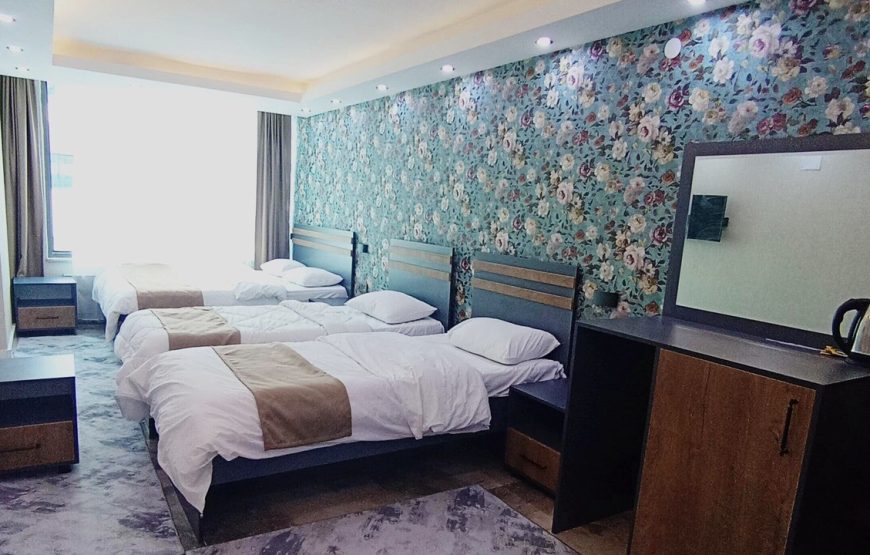 هتل ال گرند وان / ELEGRAND HOTEL VAN
