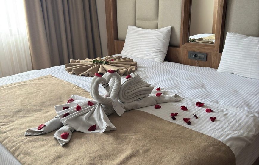 هتل فور ساید لیون استانبول / FOUR SIDE LION HOTEL ISTANBUL