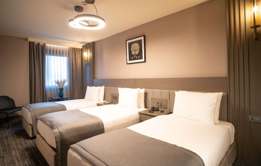 هتل آرتز تکسیم استانبول / ARTS TAKSIM HOTEL ISTANBUL