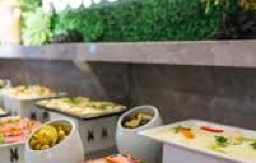 هتل فور ساید لیون استانبول / FOUR SIDE LION HOTEL ISTANBUL