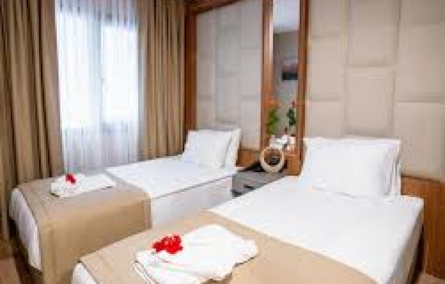 هتل فور ساید لیون استانبول / FOUR SIDE LION HOTEL ISTANBUL
