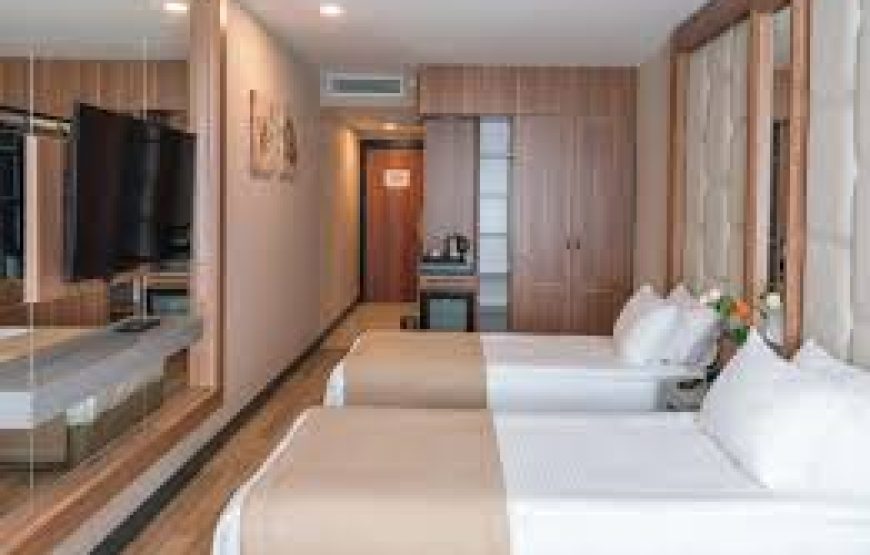 هتل فور ساید لیون استانبول / FOUR SIDE LION HOTEL ISTANBUL