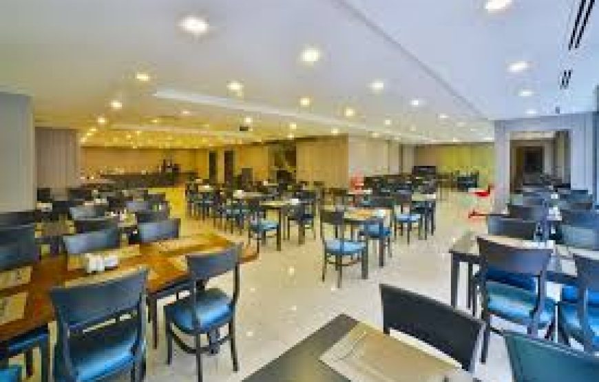 هتل فور ساید لیون استانبول / FOUR SIDE LION HOTEL ISTANBUL