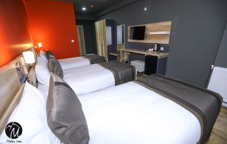 اتاق استاندارد هتل د مونتانا سیتی وان  / THE MINTANA CITY HOTEL VAN