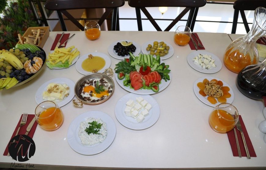 اتاق استاندارد هتل د مونتانا سیتی وان  / THE MINTANA CITY HOTEL VAN