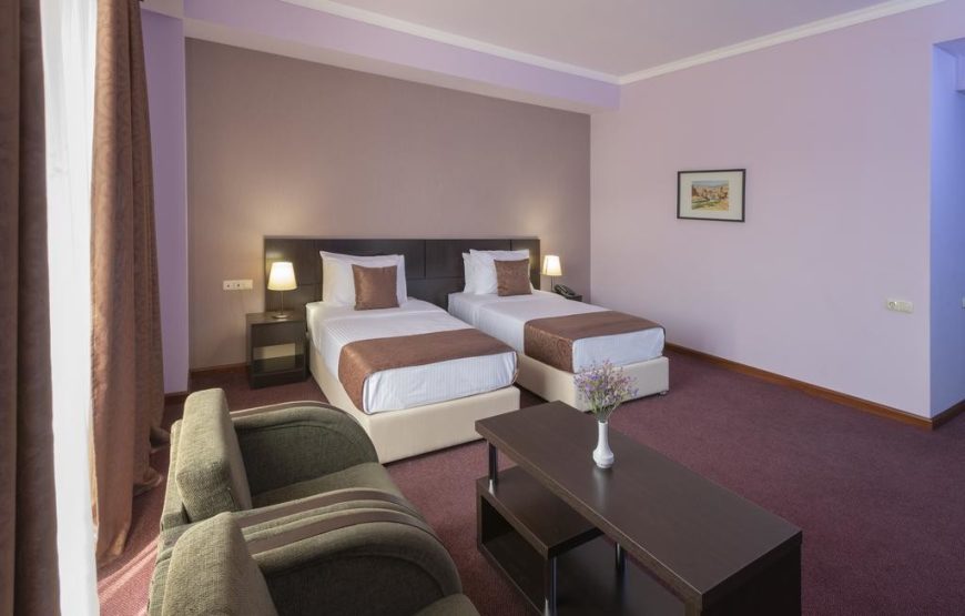 اتاق هتل انی سنترال این ایروان / Ani central inn Hotel yerevan