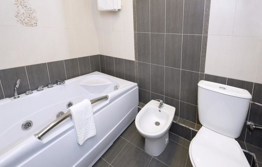 اتاق هتل انی سنترال این ایروان / Ani central inn Hotel yerevan