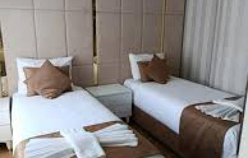 هتل بلو پرا استانبول/ Top Blue Pera Hotel Istanbul