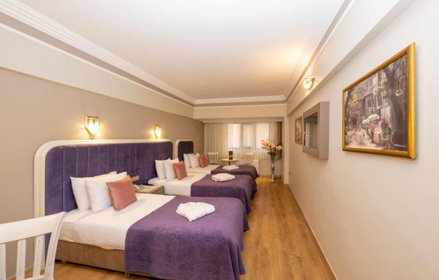 هتل گرند آنکا استانبول/GRAND ANKA HOTEL ISTANBUL