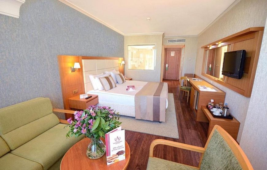 اتاق آکگون استانبول هتل / Akgun Istanbul Hotel