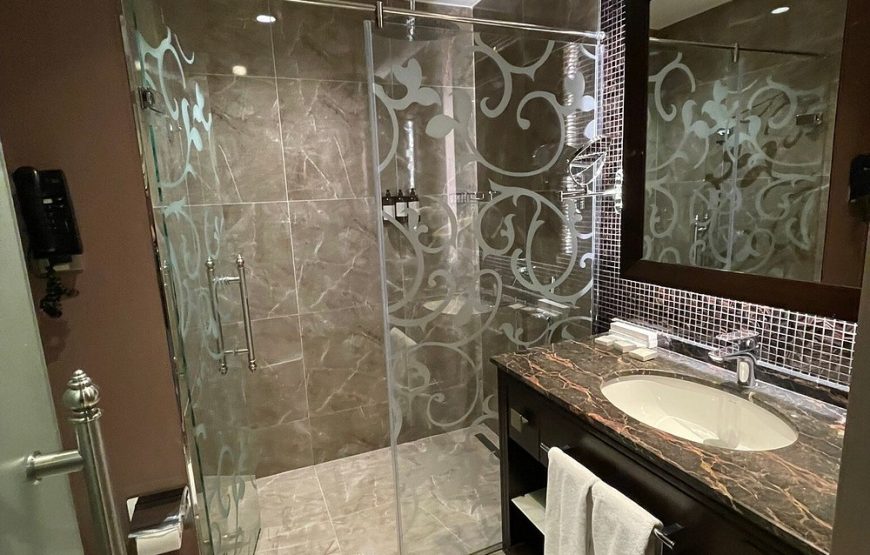 هتل الیسیوم تکسیم استانبول / The Elysium Styles Taksim Istanbul